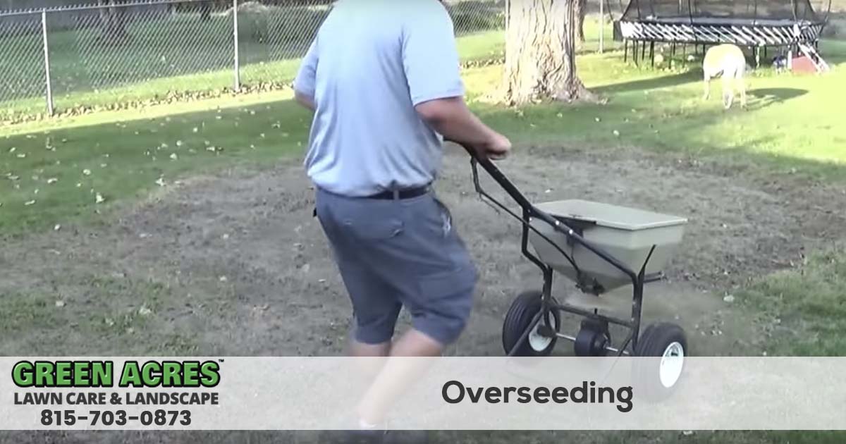Grass Seeding Service