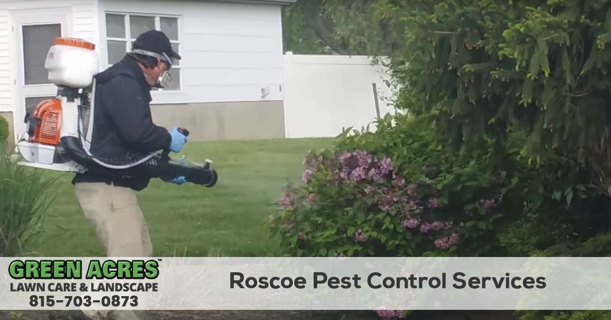 Roscoe Illinois Pest Control Company